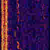 whistle spectrogram