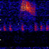 bloop spectrogram