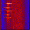 fin whale spectrogram