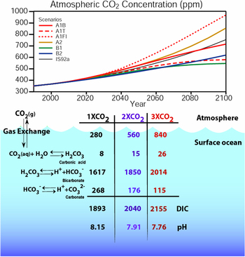 carbon chemistry  