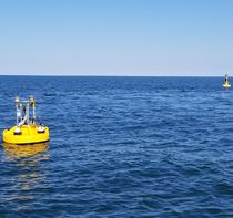 CBIBS First Landing Buoys