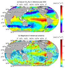 CO2 Flux Map