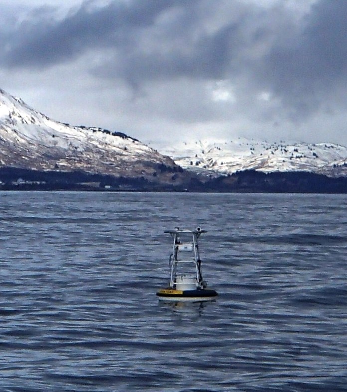 Kodiak Buoy