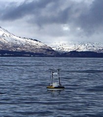 Kodiak Buoy