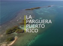 La Parguera Video Screenshot