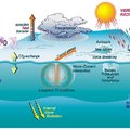 Gas Exchange (GasEx) Process Studies