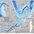 Puget Sound Marine Waters See Effect of Climate Change in 2018