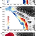 Dungeness crab larvae already showing effects of coastal acidification