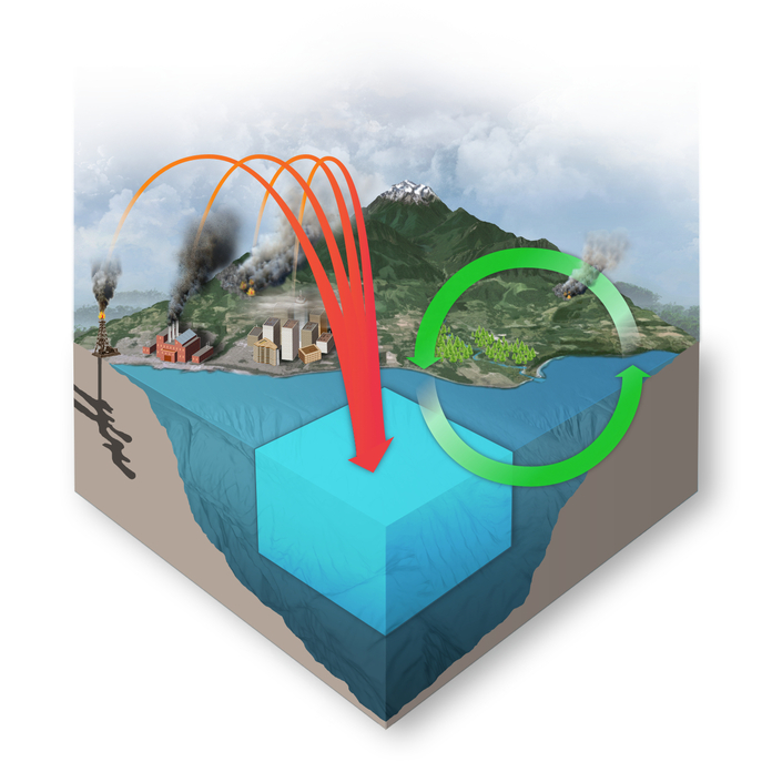 Ocean Carbon Storage Zone