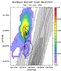 map of RAFOS track and plume, click for animation