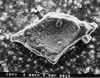 halite SEM image, click for full size