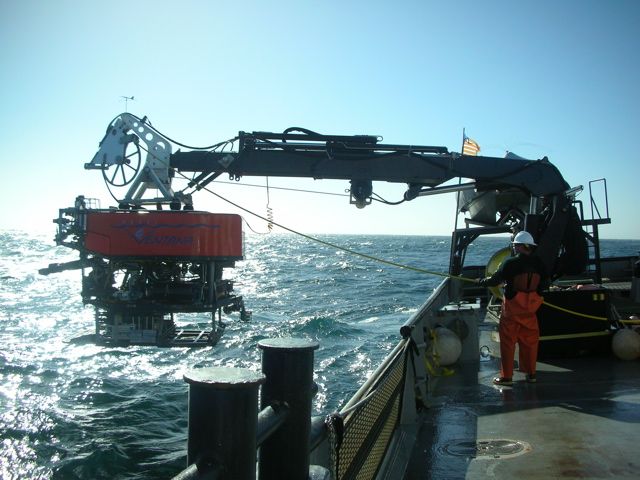 Photo of ROV Ventana being deployed