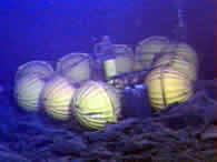 photo of rumbleometer instrument stuck in the 1998 lava flow