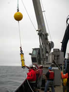 deploying DiIorio acoustic mooring