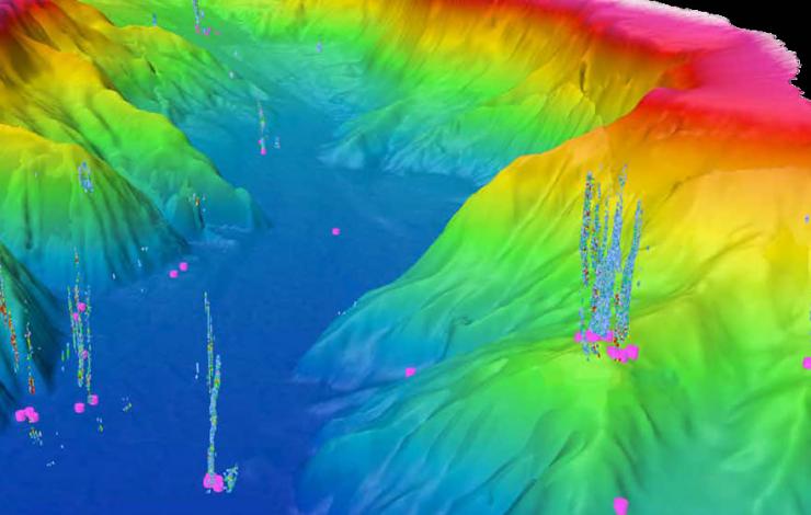 3D view of Astoria Canyon bubble streams