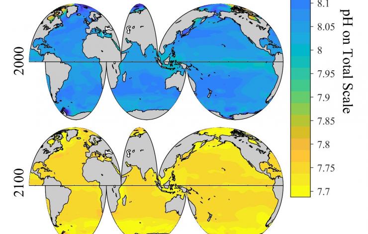 Climatology maps from the study showing pH trajectories from the past and into the future. 