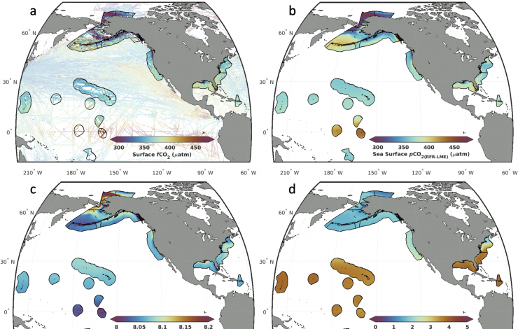 Four maps of surface ocean CO2 fugacity observations