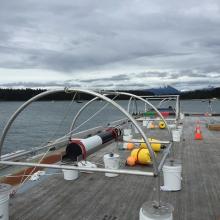 An underwater hydrophone prior to deployment in Glacier Bay National Park and Preserve. 