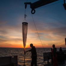 Deploying a vertical net during the 2016 West Coast Acidification Cruise on the NOAA Ship Ronald H. Brown. 